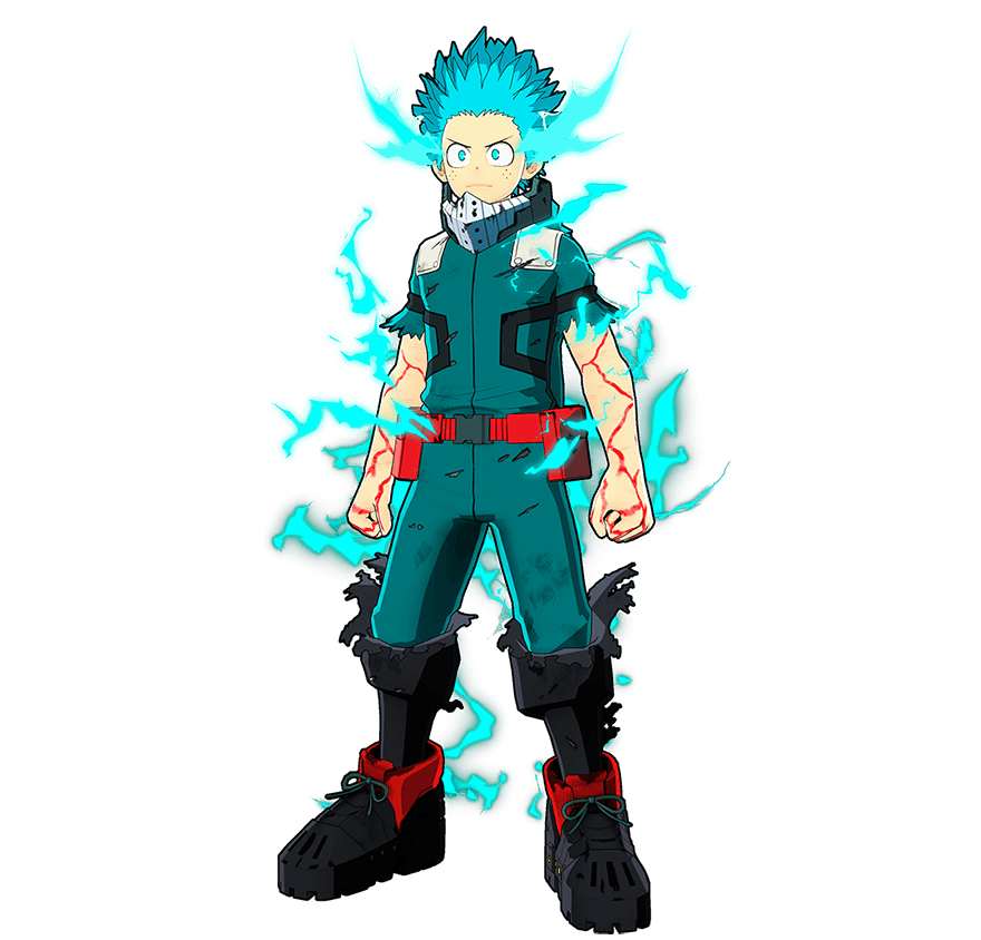 Full Cowling 100% costume artwork